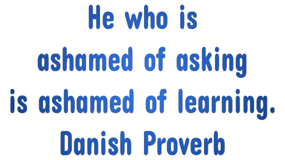 he who is ashamed of asking is ashamed of learning.