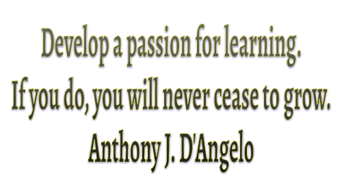 _Quotes about Learning-passion Dangelo