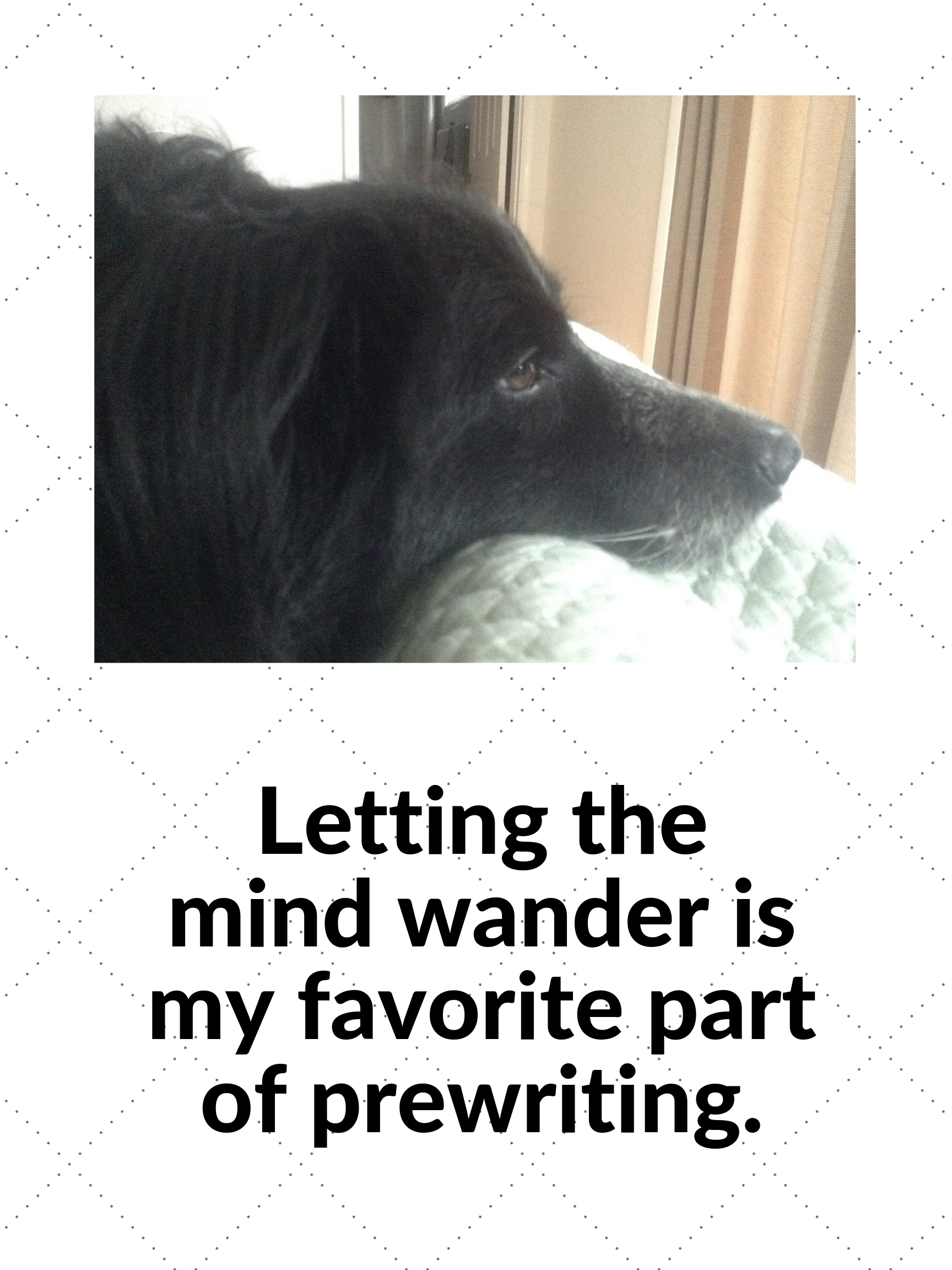 black dog writing poster letting the mind wander is my favorite part of prewriting